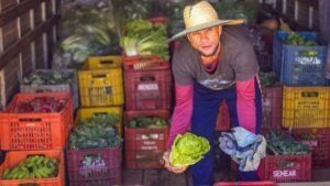 Programa de Aquisição de Alimentos,PAA 2026,Governo do Brasil,MDS,agricultura familiar,segurança alimentar,edital PAA,municípios PAA 2026,Compra com Doação Simultânea,SISAN,Plano Brasil Sem Fome,Alimenta Cidades,políticas públicas federais,produção sustentável,Pronaf,abastecimento alimentar,desenvolvimento rural,assistência social,recursos para municípios,agricultura familiar no Brasil