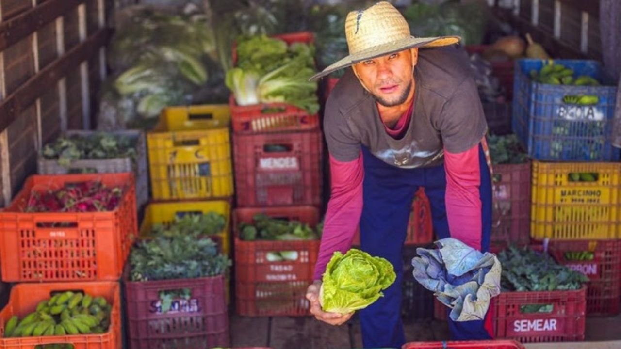 Programa de Aquisição de Alimentos,PAA 2026,Governo do Brasil,MDS,agricultura familiar,segurança alimentar,edital PAA,municípios PAA 2026,Compra com Doação Simultânea,SISAN,Plano Brasil Sem Fome,Alimenta Cidades,políticas públicas federais,produção sustentável,Pronaf,abastecimento alimentar,desenvolvimento rural,assistência social,recursos para municípios,agricultura familiar no Brasil