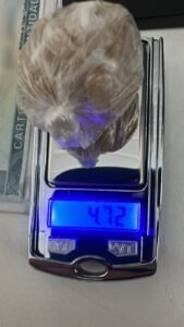 Guarda Municipal de Itajaí,tráfico de drogas em Itajaí,adolescente apreendido em Itajaí,ocorrência policial em Itajaí,bairro Cordeiros,segurança pública em Itajaí,apreensão de drogas,crack apreendido,patrulhamento preventivo,Polícia Civil de Santa Catarina,combate ao tráfico em Santa Catarina,ato infracional,ocorrência envolvendo menor,Guarda Municipal SC,tráfico de entorpecentes,operação policial em Itajaí,drogas em Itajaí,criminalidade em Santa Catarina