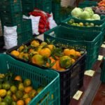 Programa de Aquisição de Alimentos distribuirá quase 10 toneladas de alimentos para famílias e entidades em Itajaí