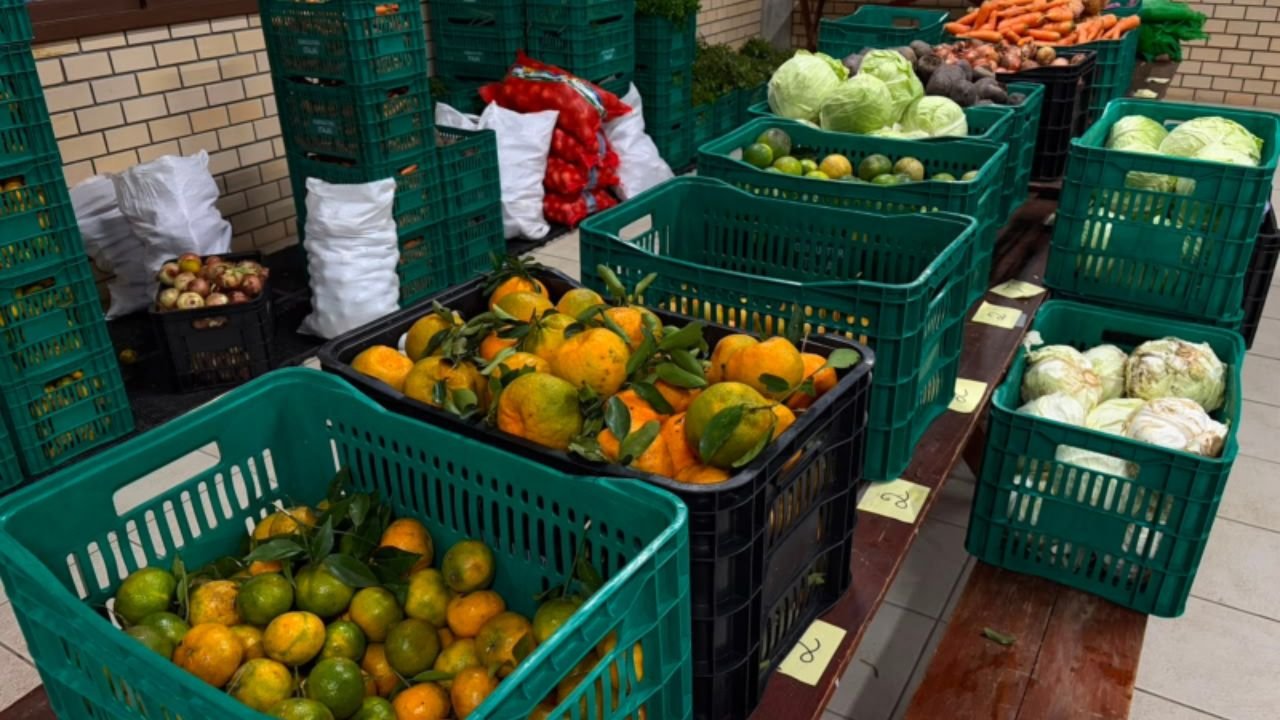 Programa de Aquisição de Alimentos,PAA Itajaí,agricultura familiar,distribuição de alimentos em Itajaí,segurança alimentar,assistência social Itajaí,famílias em vulnerabilidade social,agricultores familiares,alimentos frescos e saudáveis,combate à fome,proteção social,economia local,Secretaria de Assistência Social e Cidadania,Secretaria de Agricultura,programas sociais em Itajaí,desenvolvimento social,inclusão social
