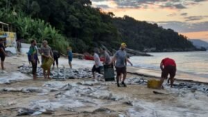 safra da tainha,pesca da tainha em Balneário Camboriú,Praia de Laranjeiras,Praia de Taquaras,pesca artesanal,temporada da tainha 2026,pescadores de Balneário Camboriú,captura de tainhas,Praia Central Balneário Camboriú,Praia do Estaleirinho,Secretaria de Meio Ambiente e Sustentabilidade,economia artesanal,tradição pesqueira,pesca em Santa Catarina,lanço de tainha,cardumes de tainha,fiscalização da pesca,safra da tainha em Santa Catarina