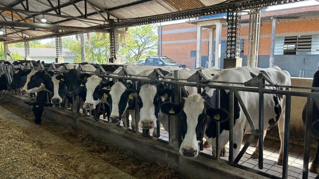 Pronampe Leite BRDE SC,BRDE,crédito para produtores de leite,agronegócio em Santa Catarina,financiamento rural,Governo de Santa Catarina,produtores de leite catarinenses,crédito rural SC,setor leiteiro,Secretaria de Agricultura e Pecuária,Cidasc,cooperativas de crédito,financiamento para pecuária leiteira,apoio ao produtor rural,programa de crédito agrícola,leite em Santa Catarina,juros reduzidos para produtores,desenvolvimento rural