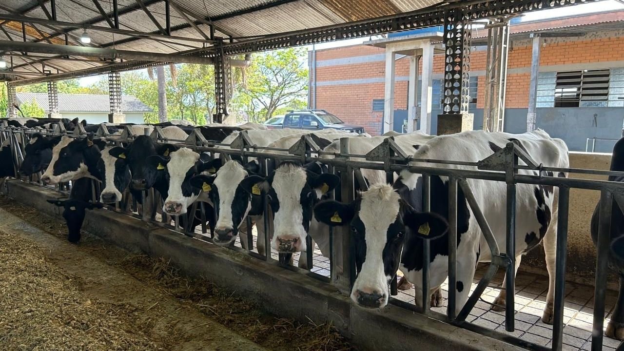 Pronampe Leite BRDE SC,BRDE,crédito para produtores de leite,agronegócio em Santa Catarina,financiamento rural,Governo de Santa Catarina,produtores de leite catarinenses,crédito rural SC,setor leiteiro,Secretaria de Agricultura e Pecuária,Cidasc,cooperativas de crédito,financiamento para pecuária leiteira,apoio ao produtor rural,programa de crédito agrícola,leite em Santa Catarina,juros reduzidos para produtores,desenvolvimento rural