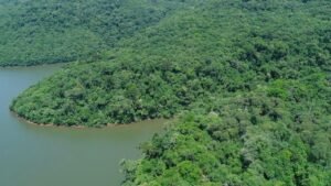 Junho Verde,Santa Catarina,Semae,Secretaria do Meio Ambiente e da Economia Verde,desenvolvimento sustentável,Programa Mais Verde,Pet Levado a Sério,transição energética,Plano de Transição Energética Justa,Cadastro Ambiental Rural,CAR Digital,gestão ambiental,preservação ambiental,recursos hídricos,sustentabilidade em Santa Catarina,educação ambiental,Instituto do Meio Ambiente de Santa Catarina,IMA,logística reversa,SisREV SC