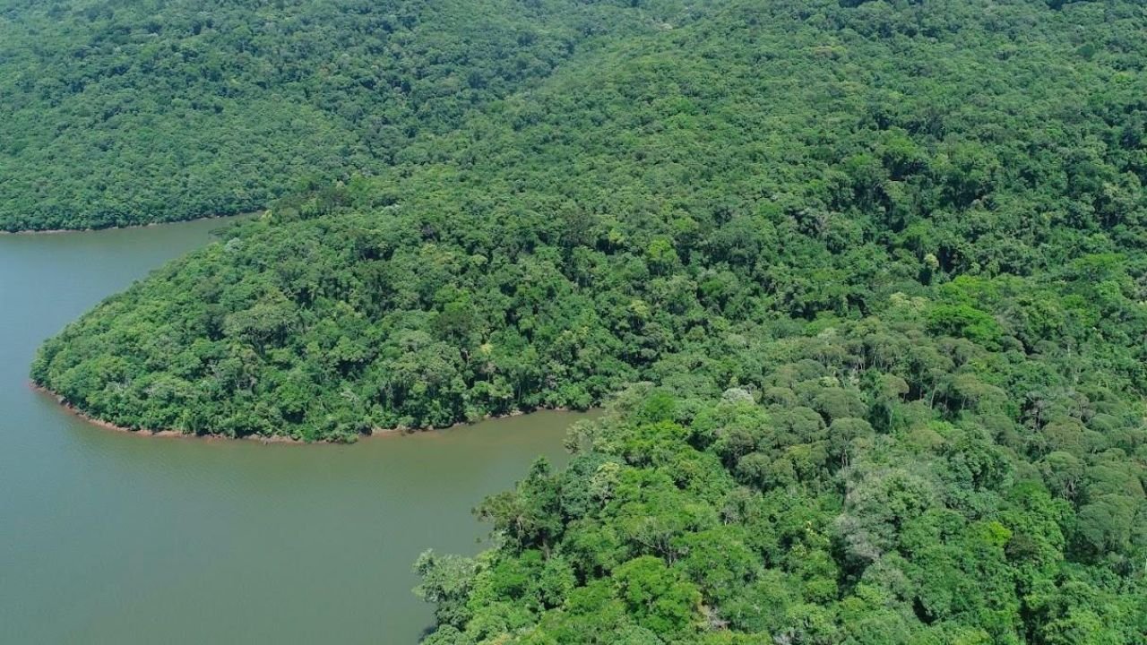Junho Verde,Santa Catarina,Semae,Secretaria do Meio Ambiente e da Economia Verde,desenvolvimento sustentável,Programa Mais Verde,Pet Levado a Sério,transição energética,Plano de Transição Energética Justa,Cadastro Ambiental Rural,CAR Digital,gestão ambiental,preservação ambiental,recursos hídricos,sustentabilidade em Santa Catarina,educação ambiental,Instituto do Meio Ambiente de Santa Catarina,IMA,logística reversa,SisREV SC