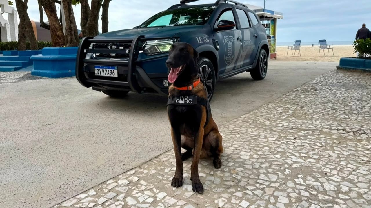 Guarda Municipal de Balneário Camboriú,cão K9,Kirsch pastor-belga-malinois,apreensão de drogas,segurança pública em Balneário Camboriú,Secretaria de Segurança e Ordem Pública,patrulhamento policial,combate ao tráfico de drogas,operações de segurança,cão farejador,grupo K9,Guarda Municipal Santa Catarina,segurança no litoral catarinense,policiamento preventivo,inteligência policial,ações operacionais