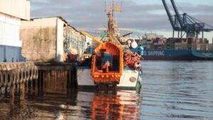 Dia do Pescador,Itajaí capital nacional da pesca,pesca em Itajaí,setor pesqueiro Itajaí,economia da pesca,indústria pesqueira,pescadores de Itajaí,atividade pesqueira Santa Catarina,cadeia produtiva do pescado,produção pesqueira,embarcações pesqueiras,armadores de pesca,cultura pesqueira,patrimônio cultural Itajaí,desenvolvimento econômico,Festa do Peixe,Semana do Pescador
