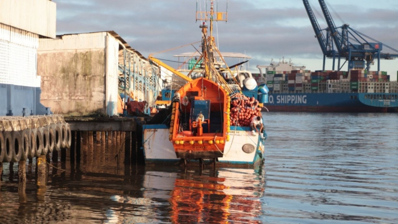 Dia do Pescador,Itajaí capital nacional da pesca,pesca em Itajaí,setor pesqueiro Itajaí,economia da pesca,indústria pesqueira,pescadores de Itajaí,atividade pesqueira Santa Catarina,cadeia produtiva do pescado,produção pesqueira,embarcações pesqueiras,armadores de pesca,cultura pesqueira,patrimônio cultural Itajaí,desenvolvimento econômico,Festa do Peixe,Semana do Pescador