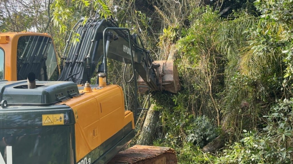 policlínica Balneário Camboriú,construção da policlínica,saúde em Balneário Camboriú,obras públicas BC,supressão de vegetação,transplante de figueiras,licença ambiental,Hospital Regional Ruth Cardoso,atendimento SUS,infraestrutura de saúde,nova unidade de saúde,Secretaria de Saúde Balneário Camboriú,investimento em saúde,especialidades médicas,exames médicos,Bairro dos Municípios,desenvolvimento urbano