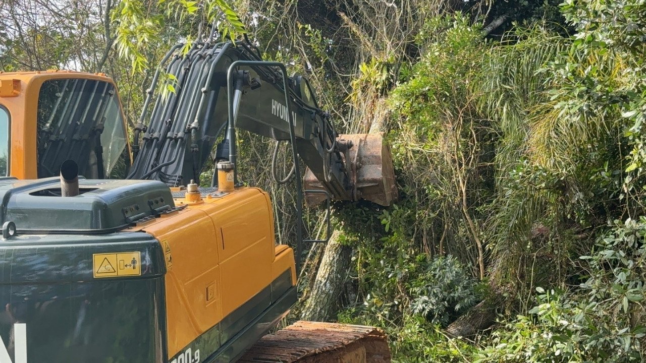 policlínica Balneário Camboriú,construção da policlínica,saúde em Balneário Camboriú,obras públicas BC,supressão de vegetação,transplante de figueiras,licença ambiental,Hospital Regional Ruth Cardoso,atendimento SUS,infraestrutura de saúde,nova unidade de saúde,Secretaria de Saúde Balneário Camboriú,investimento em saúde,especialidades médicas,exames médicos,Bairro dos Municípios,desenvolvimento urbano