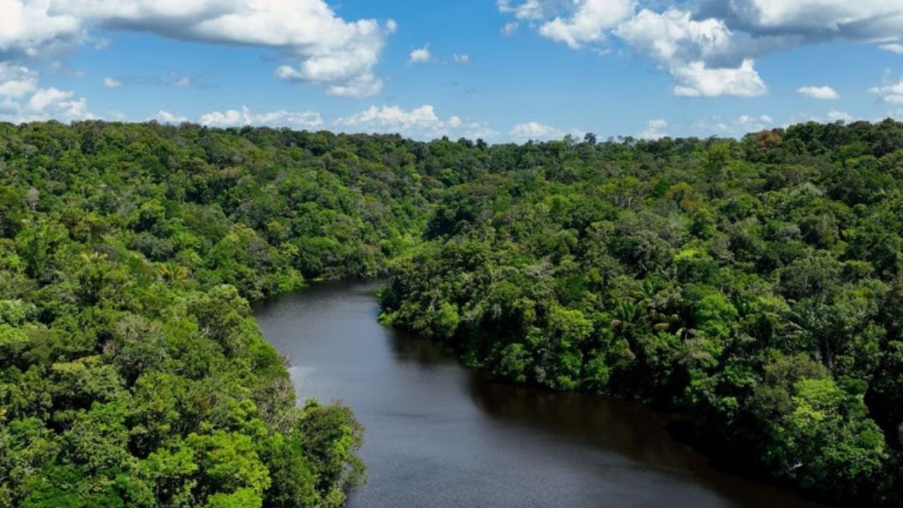 Dia Mundial do Meio Ambiente 2026,desmatamento Amazônia redução,El Niño 2026 queimadas Brasil,Fundo Amazônia países financiadores,transição energética Brasil,Ibama fortalecimento 2023,recuperação áreas degradadas Brasil,biodiversidade proteção florestas,brigadistas incêndio florestal 2026,Cerrado desmatamento queda,Pantanal proteção ambiental,desenvolvimento sustentável Brasil,meio ambiente indutor desenvolvimento,restauração florestal hectares,política ambiental governo federal 2023 2026