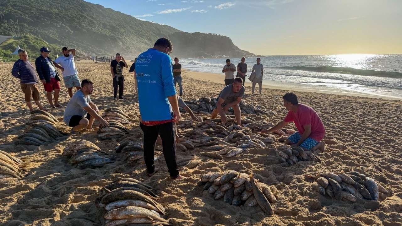 pesca da tainha Balneário Camboriú,retomada da pesca artesanal,cota extra da tainha,pesca de arrasto de praia,Ministério da Pesca e Aquicultura,pescadores artesanais Santa Catarina,safra da tainha 2026,tradição pesqueira,patrimônio cultural imaterial,pesca em Balneário Camboriú,ranchos de pesca,litoral catarinense,fiscalização da pesca,temporada da tainha,cultura pesqueira