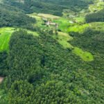Governo de Santa Catarina abre inscrições para programa de pagamento por conservação da vegetação nativa em áreas rurais
