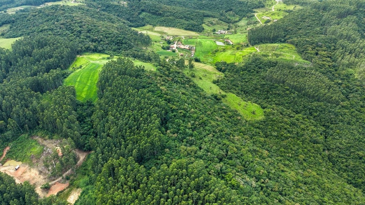 Programa Mais Verde Santa Catarina,pagamento por serviços ambientais,conservação da vegetação nativa,Governo de Santa Catarina,Secretaria do Meio Ambiente e Economia Verde,produtores rurais SC,preservação ambiental,CAR Digital,Cadastro Ambiental Rural,sustentabilidade no campo,segurança hídrica,biodiversidade Santa Catarina,agricultura sustentável,áreas rurais catarinenses,serviços ambientais