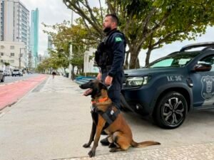 Guarda Municipal de Balneário Camboriú,cão K9,Kirsch pastor-belga-malinois,apreensão de drogas,segurança pública em Balneário Camboriú,Secretaria de Segurança e Ordem Pública,patrulhamento policial,combate ao tráfico de drogas,operações de segurança,cão farejador,grupo K9,Guarda Municipal Santa Catarina,segurança no litoral catarinense,policiamento preventivo,inteligência policial,ações operacionais
