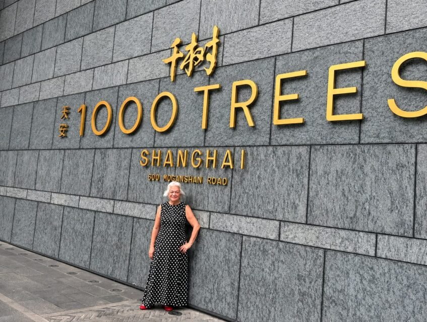 Fátima Leonhardt assume Diretoria de Relações Institucionais e Estratégicas da Câmara de Comércio Brasil-China