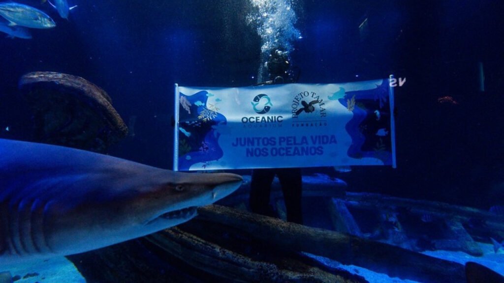 Grupo Oceanic,Projeto Tamar,Oceanic Aquarium Balneário Camboriú,exposição Novo Submarino,vida nas profundezas do oceano,conservação marinha,educação ambiental,turismo sustentável Santa Catarina,biodiversidade marinha,oceanos profundos,espécies marinhas,pesquisa científica,fauna oceânica,meio ambiente SC,preservação dos oceanos