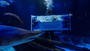 Grupo Oceanic,Projeto Tamar,Oceanic Aquarium Balneário Camboriú,exposição Novo Submarino,vida nas profundezas do oceano,conservação marinha,educação ambiental,turismo sustentável Santa Catarina,biodiversidade marinha,oceanos profundos,espécies marinhas,pesquisa científica,fauna oceânica,meio ambiente SC,preservação dos oceanos