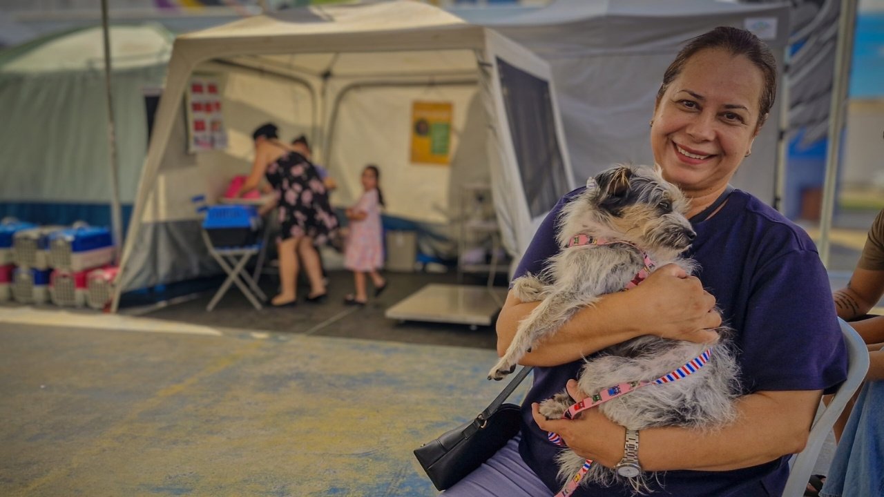 castração gratuita Navegantes,mutirão castração cães gatos,proteção animal Navegantes,secretaria de proteção animal Navegantes,Daba Navegantes,castração bairro Gravatá,saúde animal SC,bem-estar animal prefeitura,controle populacional animais,castração gratuita SC,ONG proteção animal Navegantes,castração cães gatos 2026,atendimento veterinário público,política pública animal,prefeitura de Navegantes ações,cadastro castração WhatsApp,mutirão animal Santa Catarina,escola municipal Leonora Schmitz,castração gratuita julho,assistência animal Navegantes