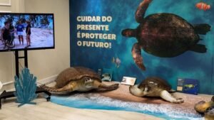 Fundação Projeto TAMAR em São José,exposição de tartarugas marinhas em São José,exposição gratuita no Shopping Itaguaçu,Projeto TAMAR Shopping Itaguaçu,tartarugas marinhas em Santa Catarina,conservação dos oceanos,conservação da vida marinha,educação ambiental para crianças,exposição sobre meio ambiente,passeio nas férias escolares,eventos gratuitos em São José,programação de férias em São José,biodiversidade dos mares,espécies de tartarugas marinhas,litoral catarinense,pesquisa e conservação marinha,exposição gratuita em Santa Catarina,atividades para crianças nas férias,Shopping Itaguaçu São José,Fundação Projeto TAMAR Santa Catarina