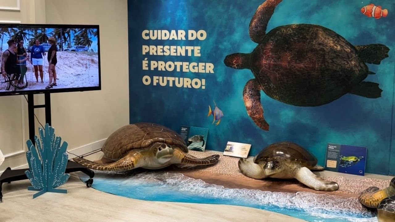 Fundação Projeto TAMAR em São José,exposição de tartarugas marinhas em São José,exposição gratuita no Shopping Itaguaçu,Projeto TAMAR Shopping Itaguaçu,tartarugas marinhas em Santa Catarina,conservação dos oceanos,conservação da vida marinha,educação ambiental para crianças,exposição sobre meio ambiente,passeio nas férias escolares,eventos gratuitos em São José,programação de férias em São José,biodiversidade dos mares,espécies de tartarugas marinhas,litoral catarinense,pesquisa e conservação marinha,exposição gratuita em Santa Catarina,atividades para crianças nas férias,Shopping Itaguaçu São José,Fundação Projeto TAMAR Santa Catarina