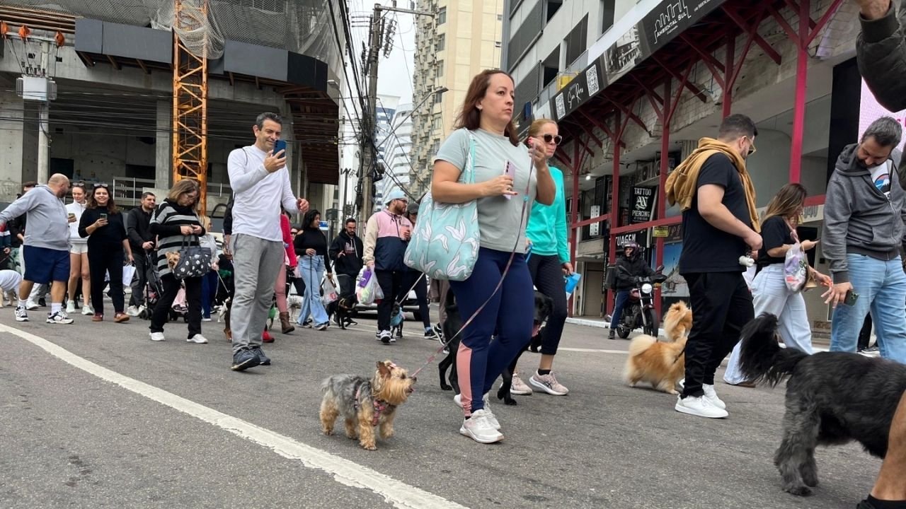 16ª Cãominhada de Balneário Camboriú,Cãominhada em Balneário Camboriú,Cãominhada 2026,evento para pets em Balneário Camboriú,passeio com cães em Balneário Camboriú,causa animal em Balneário Camboriú,Praça Tamandaré Cãominhada,arrecadação de ração para animais,doação de cobertores para animais,Banco de Ração de Balneário Camboriú,guarda responsável de animais,vacinação de pets,castração de animais,combate aos maus-tratos animais,pista de agility para cães,demonstração de adestramento,saúde e bem-estar animal,Secretaria de Meio Ambiente e Sustentabilidade,programação dos 62 anos de Balneário Camboriú,eventos para cães em Santa Catarina