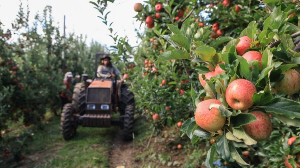 tecnologia no meio rural,crédito rural,jovens no meio rural,permanência no campo,agricultura familiar em Santa Catarina,educação rural,desenvolvimento rural SC,infraestrutura rural,internet no campo,conectividade rural,inovação na agricultura,políticas públicas rurais,sucessão familiar no campo,Urupema agricultura,São José do Cerrito ensino agrícola,modernização da propriedade rural