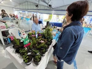 oficinas para idosos Balneário Camboriú,Secretaria da Pessoa Idosa Balneário Camboriú,atividades para idosos BC,Prefeitura de Balneário Camboriú pessoa idosa,oficinas de artesanato idosos,projeto Matinê 60+ Balneário Camboriú,qualidade de vida idosos Santa Catarina,atividades terceira idade Balneário Camboriú,SPI Balneário Camboriú,bem-estar da pessoa idosa BC,oficinas gratuitas idosos,população idosa Balneário Camboriú,envelhecimento ativo Santa Catarina,pilates para idosos BC,grupo Parkinson Balneário Camboriú