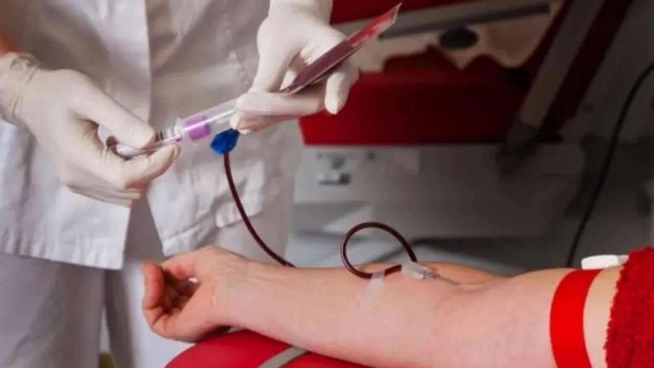 doação de sangue Santa Catarina,novos critérios doação de sangue,Hemosc regras atualizadas,portaria Ministério da Saúde doação,quem pode doar sangue 2026,tatuagem e doação de sangue,prazo doação após câncer,doação de sangue após cirurgia bariátrica,critérios de inaptidão doação de sangue,doação de sangue endoscopia colonoscopia,tireoidite de Hashimoto doação,hipertireoidismo doação de sangue,requisitos para doar sangue SC,mudanças na doação de sangue Brasil,triagem clínica doação de sangue,hemocentros protocolos atualizados,saúde pública Santa Catarina