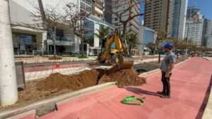 transplante de árvores em Balneário Camboriú,reurbanização da orla de Balneário Camboriú,Praia Central de Balneário Camboriú,nova orla de Balneário Camboriú,árvores na orla de BC,transplante de amendoeiras,arborização da nova orla,Barra Sul Balneário Camboriú,obra da orla de Balneário Camboriú,30 amendoeiras transplantadas,Instituto do Meio Ambiente de Santa Catarina,IMA Santa Catarina,árvores em Balneário Camboriú,plantio de árvores na orla,projeto de arborização em BC,meio ambiente em Balneário Camboriú,reurbanização da Praia Central,área verde na nova orla,infraestrutura urbana em Balneário Camboriú