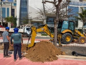 transplante de árvores em Balneário Camboriú,reurbanização da orla de Balneário Camboriú,Praia Central de Balneário Camboriú,nova orla de Balneário Camboriú,árvores na orla de BC,transplante de amendoeiras,arborização da nova orla,Barra Sul Balneário Camboriú,obra da orla de Balneário Camboriú,30 amendoeiras transplantadas,Instituto do Meio Ambiente de Santa Catarina,IMA Santa Catarina,árvores em Balneário Camboriú,plantio de árvores na orla,projeto de arborização em BC,meio ambiente em Balneário Camboriú,reurbanização da Praia Central,área verde na nova orla,infraestrutura urbana em Balneário Camboriú