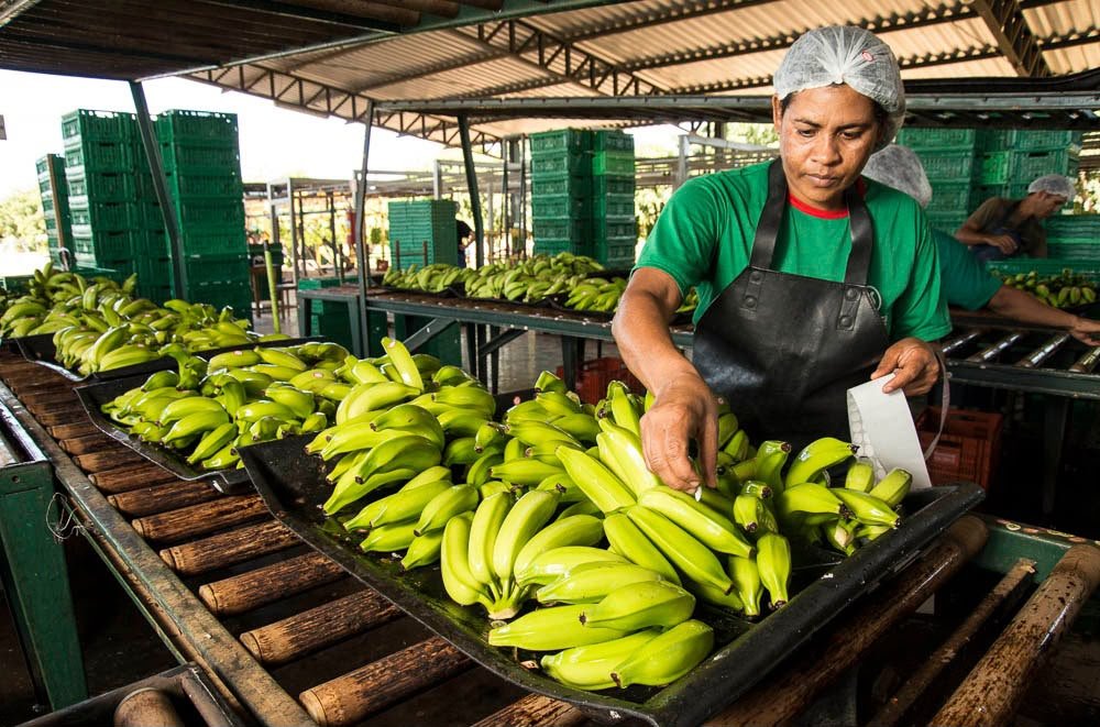 Campanha Regularize 2026 termina nesta quarta com atendimento gratuito a MEIs de Joinville