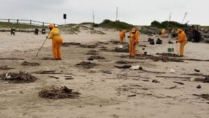 limpeza das praias de Itajaí,resíduos nas praias de Itajaí,praias de Itajaí,limpeza da orla,resíduos trazidos pelas chuvas,ressaca no litoral de Santa Catarina,chuvas em Itajaí,limpeza das praias,resíduos no litoral,coleta de resíduos,manutenção da orla,meio ambiente em Itajaí,condições climáticas,Alto Vale do Itajaí,Médio Vale do Itajaí,litoral de Santa Catarina,resíduos nas praias após chuvas