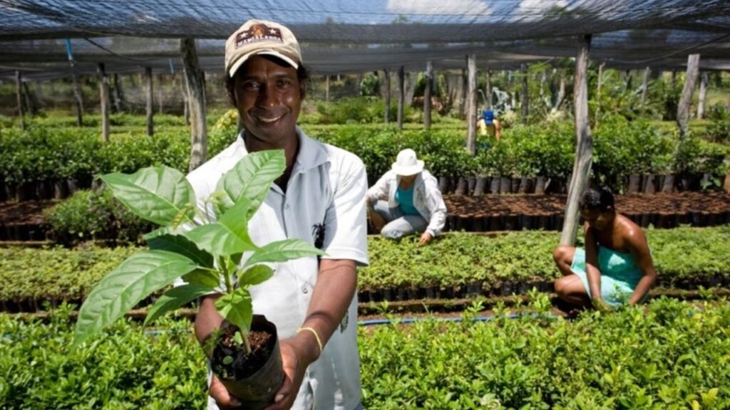 Contrata+Brasil em Santa Catarina,R$ 7,5 milhões em contratações,MEIs em Santa Catarina,agricultura familiar catarinense,plataforma Contrata+Brasil,oportunidades para microempreendedores,compras públicas para MEIs,contratação de pequenos negócios,fornecedores do setor público,serviços para órgãos públicos,geração de renda em Santa Catarina,oportunidades para agricultores familiares,Programa Nacional de Alimentação Escolar,Programa de Aquisição de Alimentos,Prospera MEI,perdão de dívidas do MEI,aumento do teto de faturamento MEI,limite de contratação Contrata+Brasil,empreendedorismo em Santa Catarina,cadastro Contrata+Brasil,licitações para microempresas,economia regional catarinense,oportunidades de negócios pelo WhatsApp,PLP 186/2026