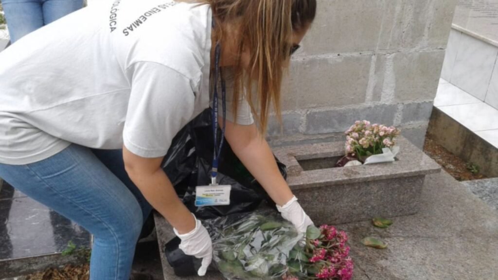 prevenção à dengue em Itajaí,dengue em Itajaí,prevenção à dengue nos cemitérios,cuidados nos cemitérios antes de Finados,Dia de Finados 2026,mosquito Aedes aegypti,combate à dengue em Itajaí,Secretaria Municipal de Saúde de Itajaí,Programa de Controle da Dengue,criadouros do mosquito da dengue,água parada nos cemitérios,flores artificiais e dengue,prevenção à dengue em Santa Catarina,cemitérios da Fazenda Espinheiros e Itaipava,mutirão contra a dengue em Itajaí,agentes de combate às endemias,monitoramento do mosquito da dengue,medidas preventivas contra a dengue,saúde pública em Itajaí,cuidados ao visitar cemitérios