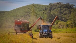 Programa SC Rural 2,edital SC Rural 2 Navegantes,SC Rural 2 inscrições,SC Rural 2 Santa Catarina,agricultura familiar em Navegantes,pescadores artesanais em Navegantes,apoio a agricultores familiares em Santa Catarina,Secretaria de Agricultura,Pesca e Pecuária de Navegantes,Prefeitura de Navegantes,Epagri Navegantes,Cadastro Nacional da Agricultura Familiar CAF,PRONAF Navegantes,edital de chamada pública 01/2026,como se inscrever no SC Rural 2,prazo SC Rural 2 24 de outubro,programa de apoio rural em Navegantes SC