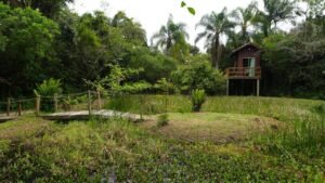 Roteiro Turístico Brisa e Raiz,Rota Brisa e Raiz Balneário Piçarras,agroturismo em Balneário Piçarras,turismo rural em Santa Catarina,roteiro agroturístico Santa Catarina,o que fazer em Balneário Piçarras,lançamento roteiro turístico Balneário Piçarras,Sítio Tudo é Arte,Secretaria de Turismo e Desenvolvimento Econômico,turismo de experiência em Santa Catarina,trilhas ecológicas Balneário Piçarras,vinícola em Balneário Piçarras,meliponicultura Balneário Piçarras,gastronomia afetiva e cafés temáticos,produtos coloniais e artesanato,turismo no litoral catarinense,atrativos rurais em Balneário Piçarras,lançamento Brisa e Raiz 28 de outubro,Prefeitura de Balneário Piçarras