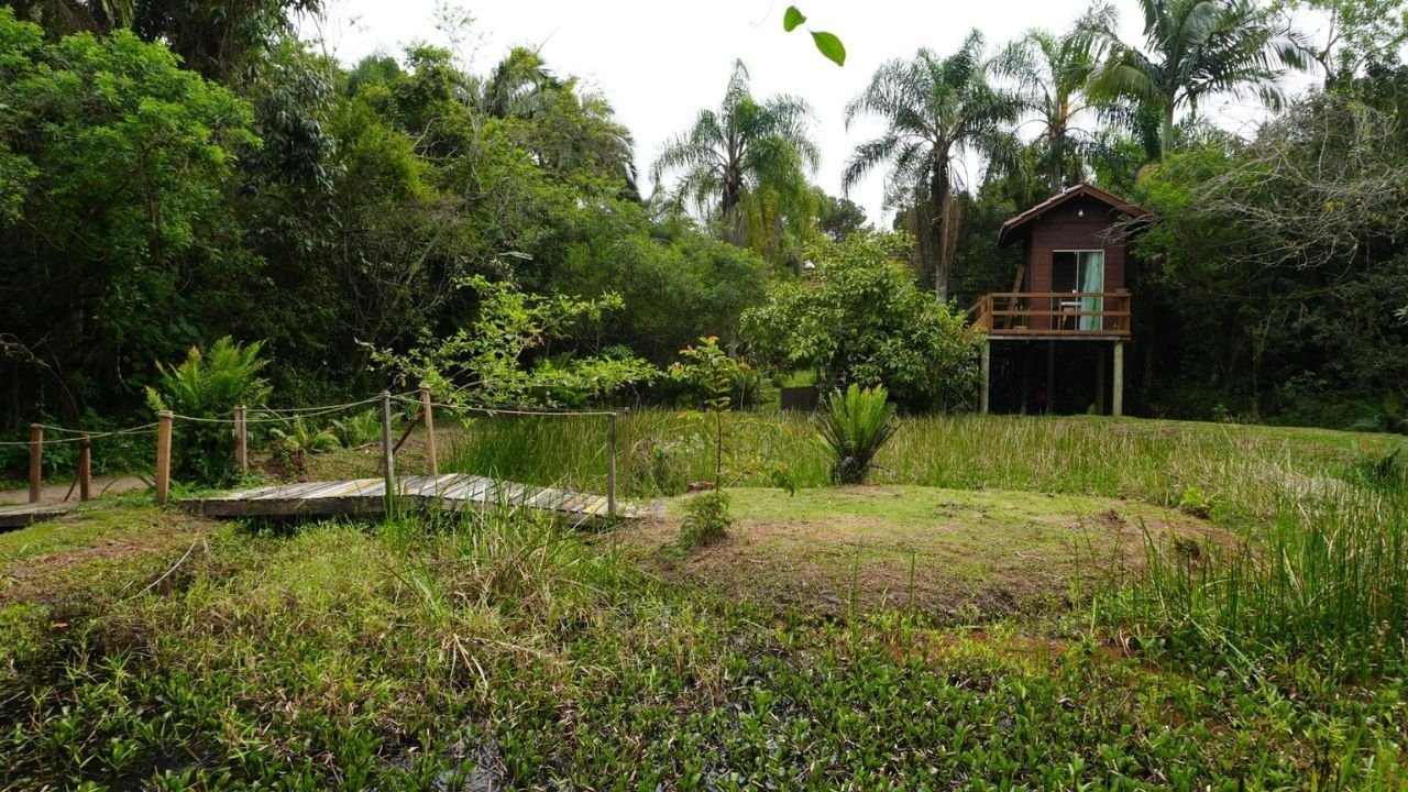 Roteiro Turístico Brisa e Raiz,Rota Brisa e Raiz Balneário Piçarras,agroturismo em Balneário Piçarras,turismo rural em Santa Catarina,roteiro agroturístico Santa Catarina,o que fazer em Balneário Piçarras,lançamento roteiro turístico Balneário Piçarras,Sítio Tudo é Arte,Secretaria de Turismo e Desenvolvimento Econômico,turismo de experiência em Santa Catarina,trilhas ecológicas Balneário Piçarras,vinícola em Balneário Piçarras,meliponicultura Balneário Piçarras,gastronomia afetiva e cafés temáticos,produtos coloniais e artesanato,turismo no litoral catarinense,atrativos rurais em Balneário Piçarras,lançamento Brisa e Raiz 28 de outubro,Prefeitura de Balneário Piçarras