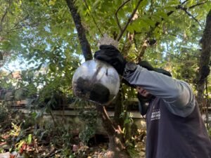 foco de dengue em Balneário Camboriú,dengue na Praia dos Amores,Vigilância Ambiental de Balneário Camboriú,mosquito Aedes aegypti,combate à dengue em Santa Catarina,operação contra a dengue,entulhos retirados em Balneário Camboriú,limpeza de residência na Praia dos Amores,prevenção da dengue,larvas do mosquito da dengue,saúde pública em Balneário Camboriú,riscos sanitários e ambientais,retirada de entulhos,ação conjunta da prefeitura,Secretaria de Saúde de Balneário Camboriú,combate ao mosquito transmissor da dengue,chikungunya e zika,febre amarela e Aedes aegypti,fiscalização ambiental em Balneário Camboriú,prevenção de focos de dengue